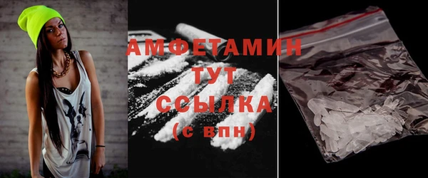 соль ск Новозыбков