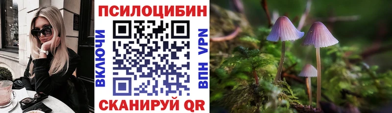Галлюциногенные грибы Psilocybine cubensis  как найти   Дербент 