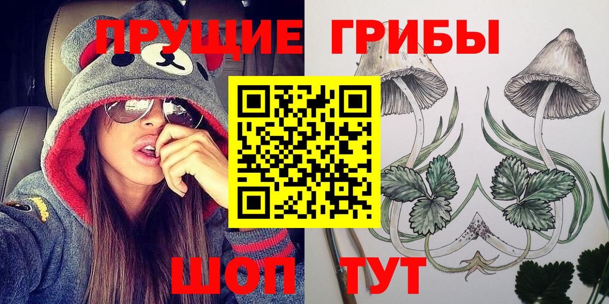 Дербент  Галлюциногенные грибы GOLDEN TEACHER  Вход с VPN 