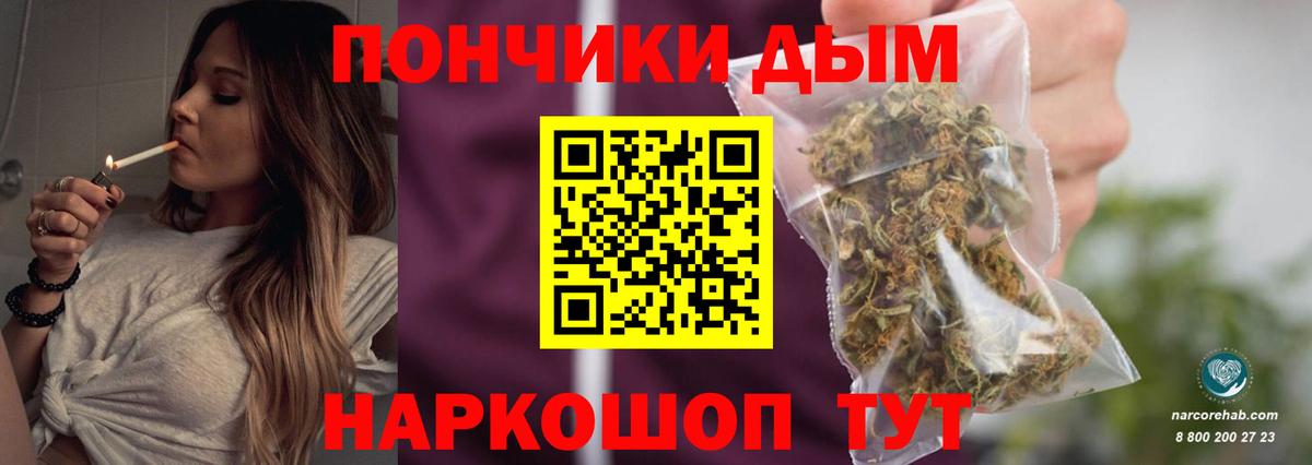 Конопля сатива Дербент